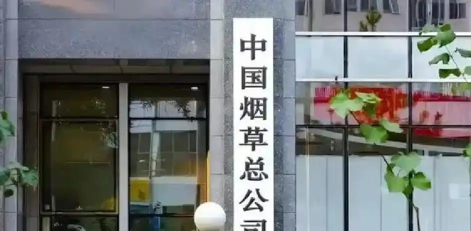 官方:布莱顿签下奥林匹亚科斯后卫科斯蒂尼亚,双方签约5年