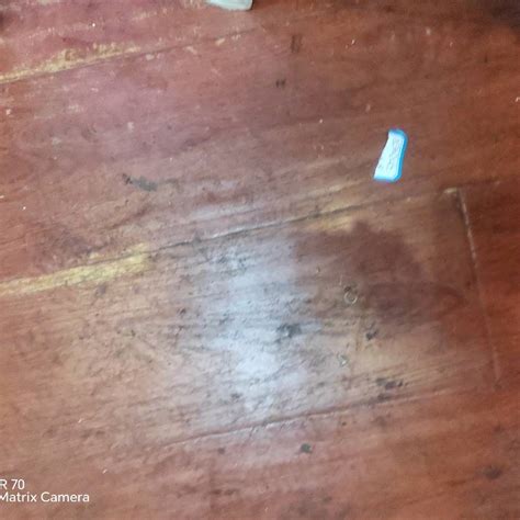 乐鱼体育 可持续材料运动装备